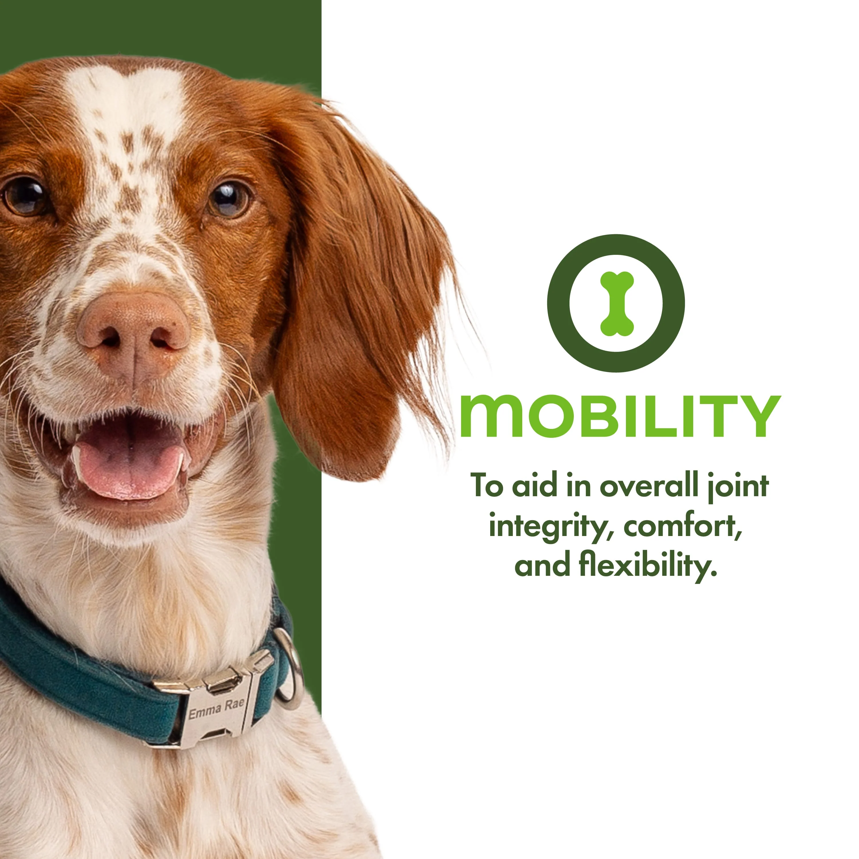 Fromm Nutritionals Mobility Functional Dog Treats, 6oz - Image 3