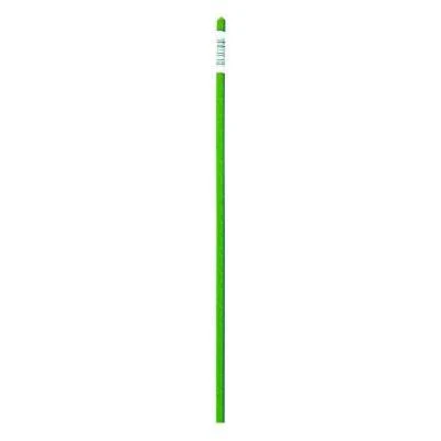 Green Steel Stake