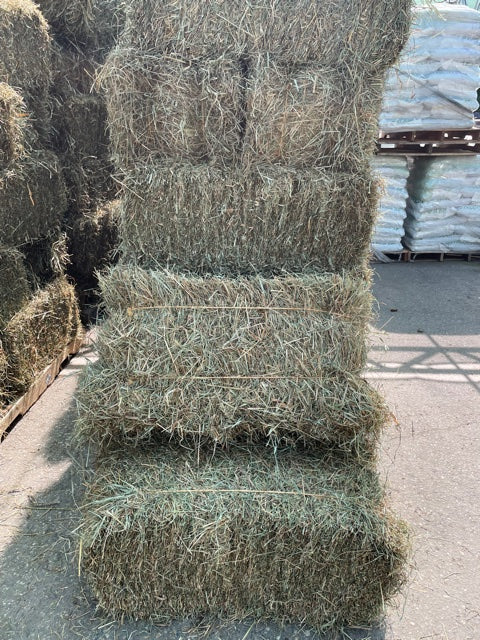 Local First Cut Hay Bale *Temporarily Out of Stock* - Image 3