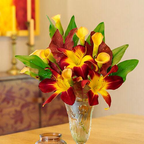 Daylily, Rainbow Rhythm® Ruby Spider Daylily - Image 3