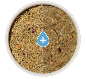The Honest Kitchen Dehydrated Grain Free Beef Dog Food, 2lb box - Image 2