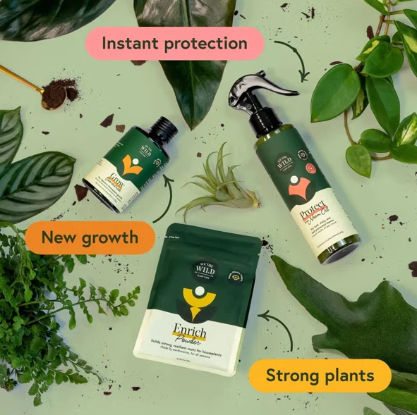 Houseplant Care Essential Kit With Organic Growth Solutions - Image 2
