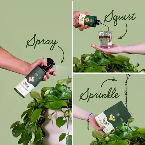 Houseplant Care Essential Kit With Organic Growth Solutions - Image 3