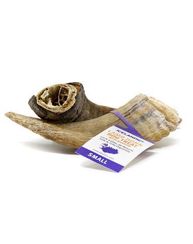 Icelandic+ Small Lamb Horn with Marrow Dog Treat - Image 3