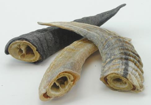 Icelandic+ Small Lamb Horn with Marrow Dog Treat - Image 5