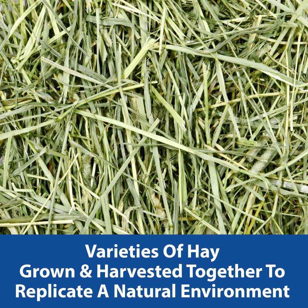 Kaytee Wild Meadow Hay Blend for Small Animals, 24oz - Image 2