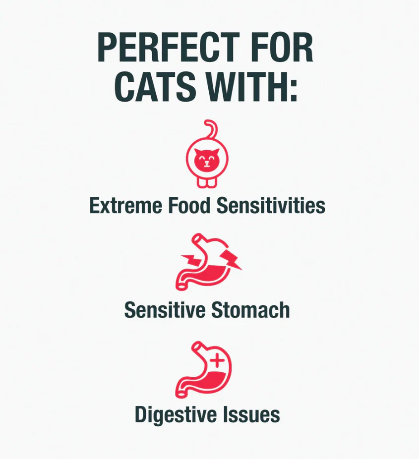 KOHA Limited Ingredient Diet Chicken Pâté for Cats - Image 6