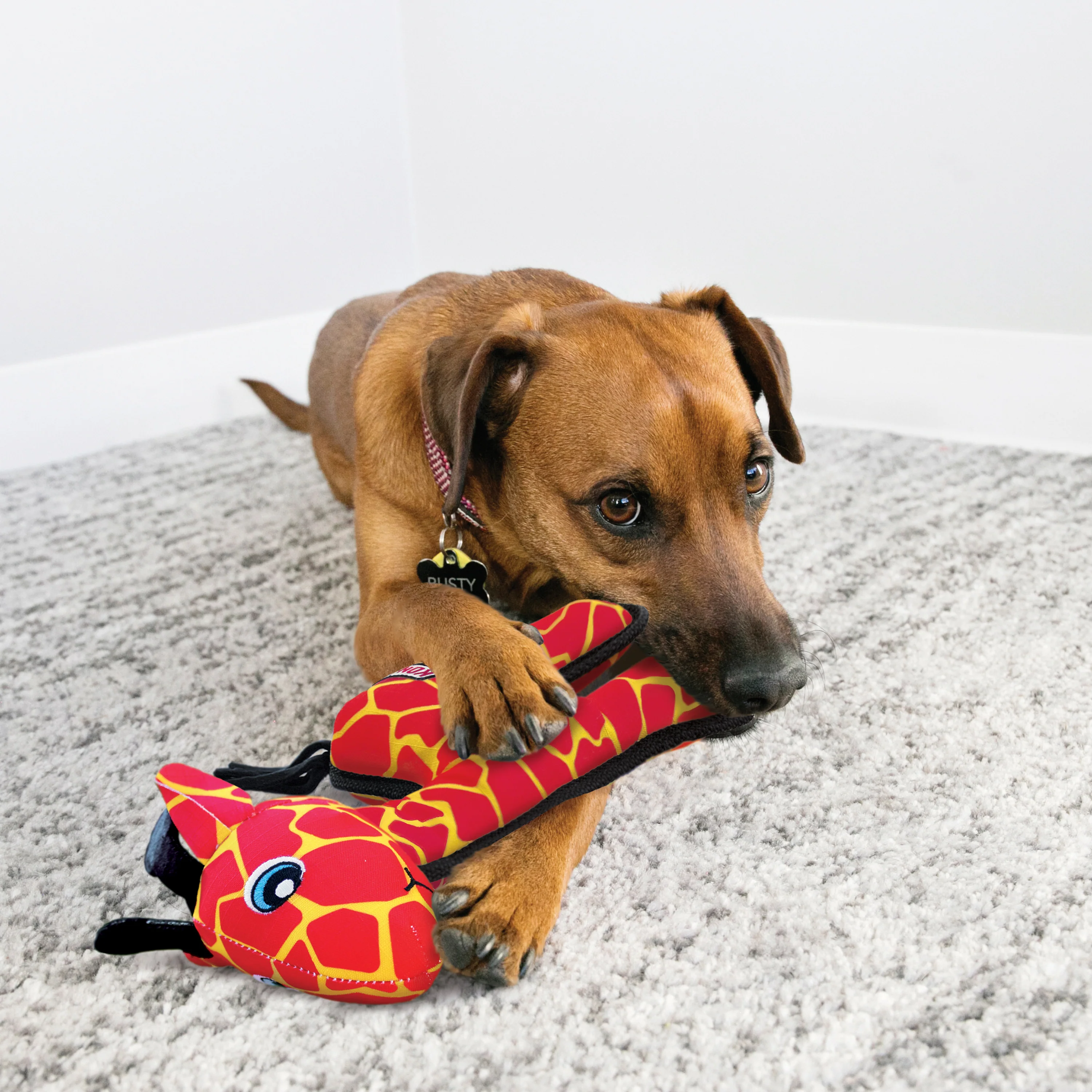 KONG Ballistic Giraffe, Medium/Large Dog Toy - Image 3