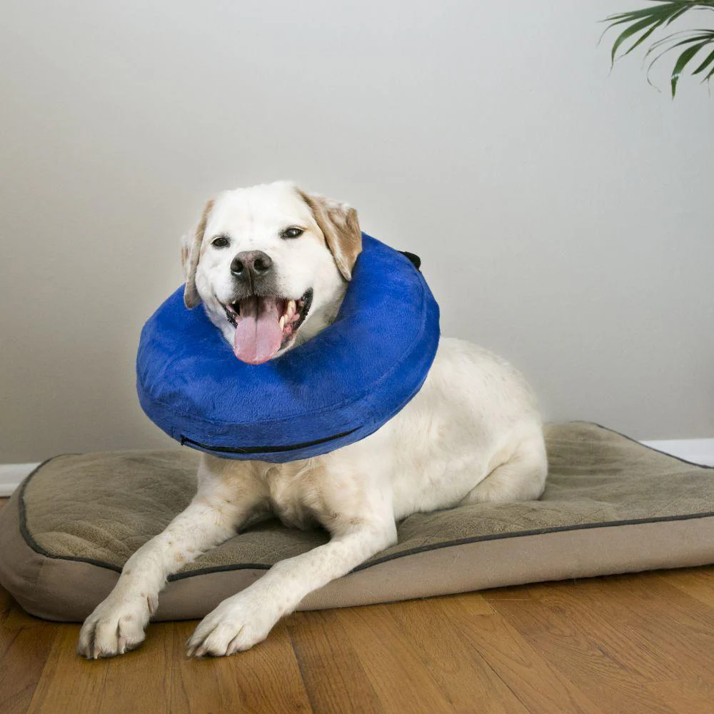KONG Cloud Collar For Dogs - Image 2