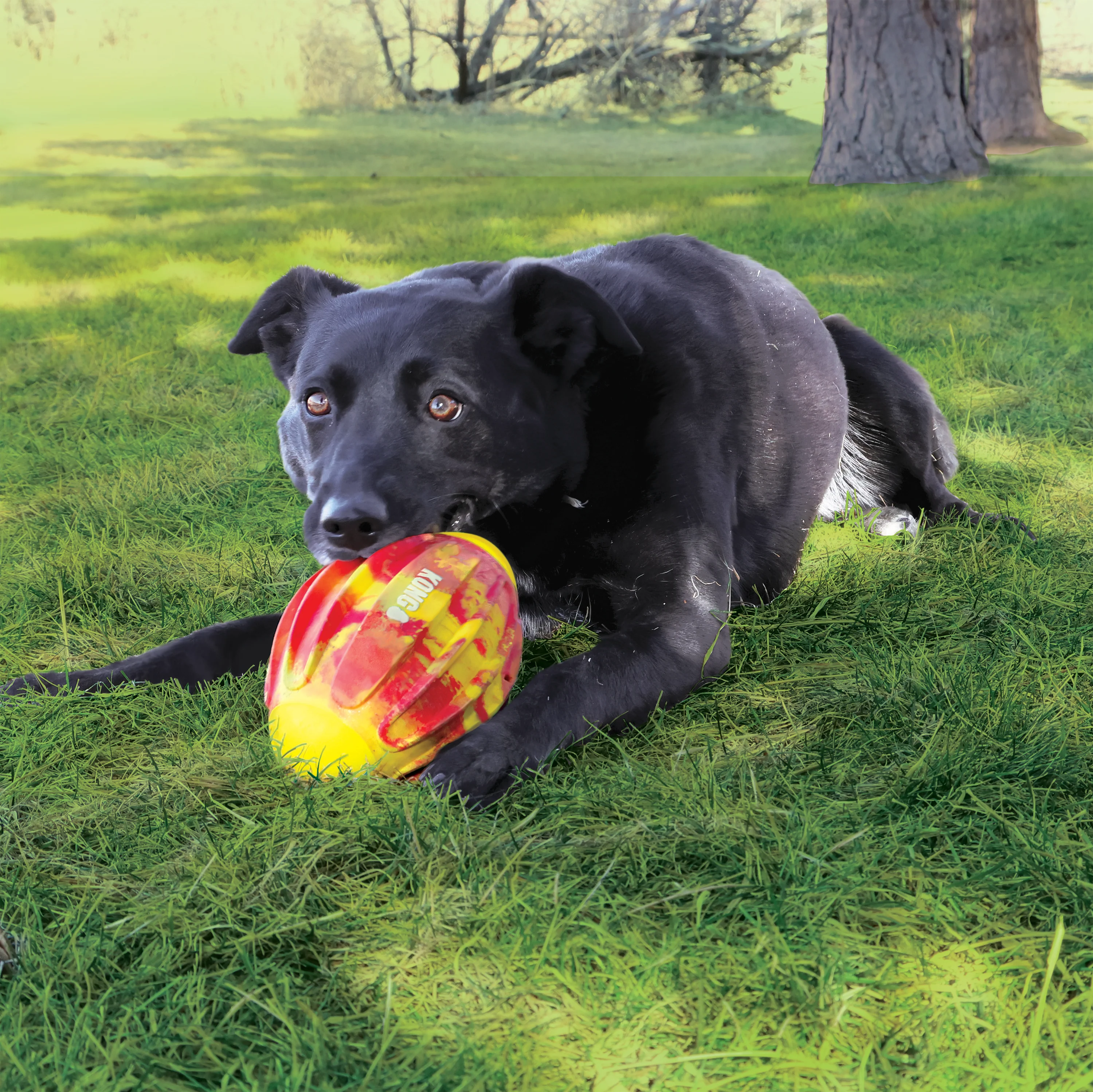 KONG FlexBall Football, Medium Dog Toy - Image 3