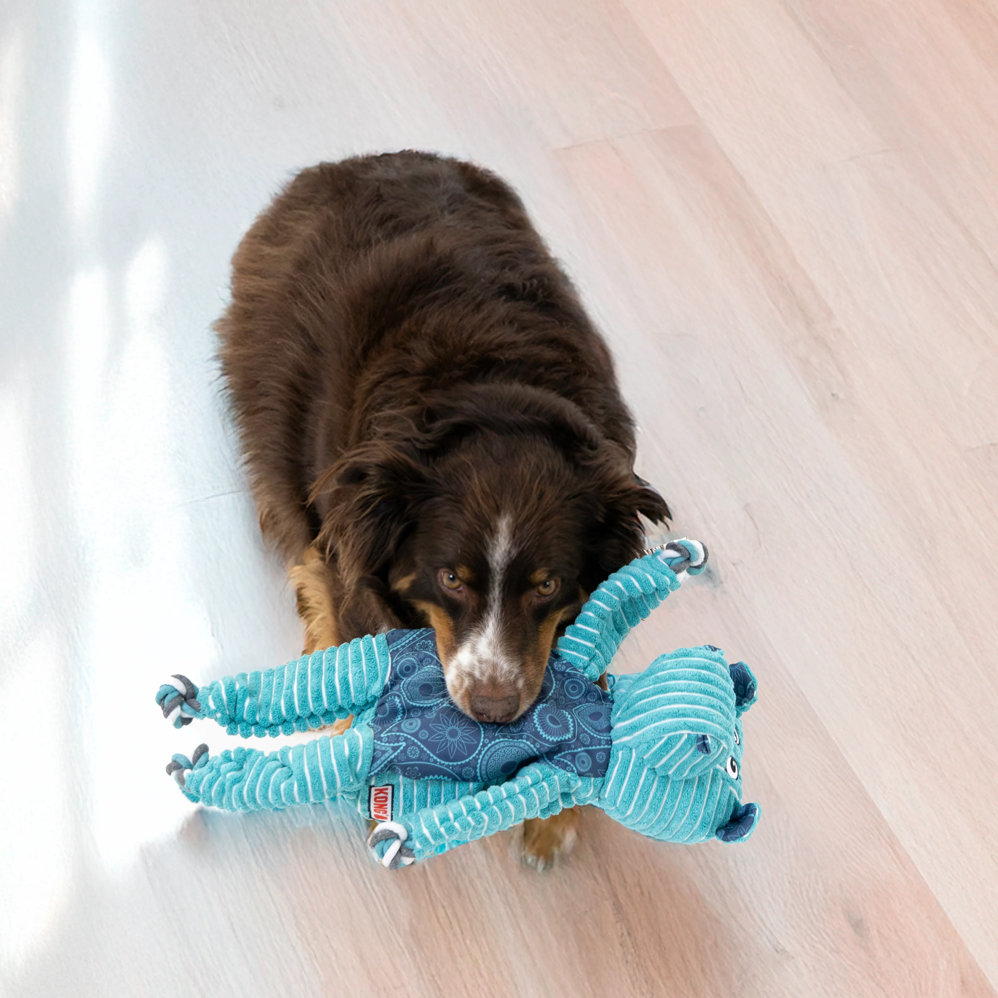 KONG Floppy Knots Jumbo Hippo, Extra Large Dog Toy - Image 3