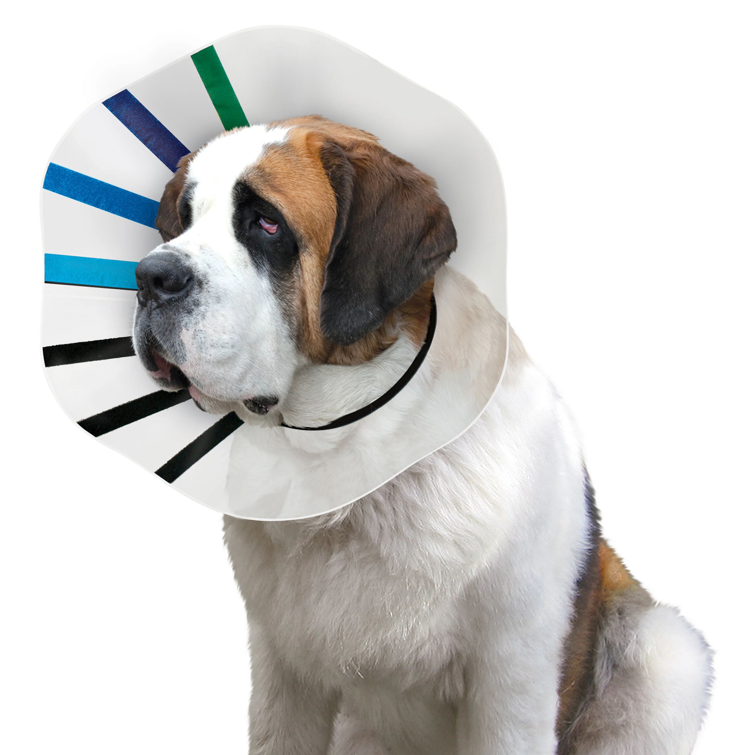 KONG EZ Clear Dog Collar - Large - Image 3