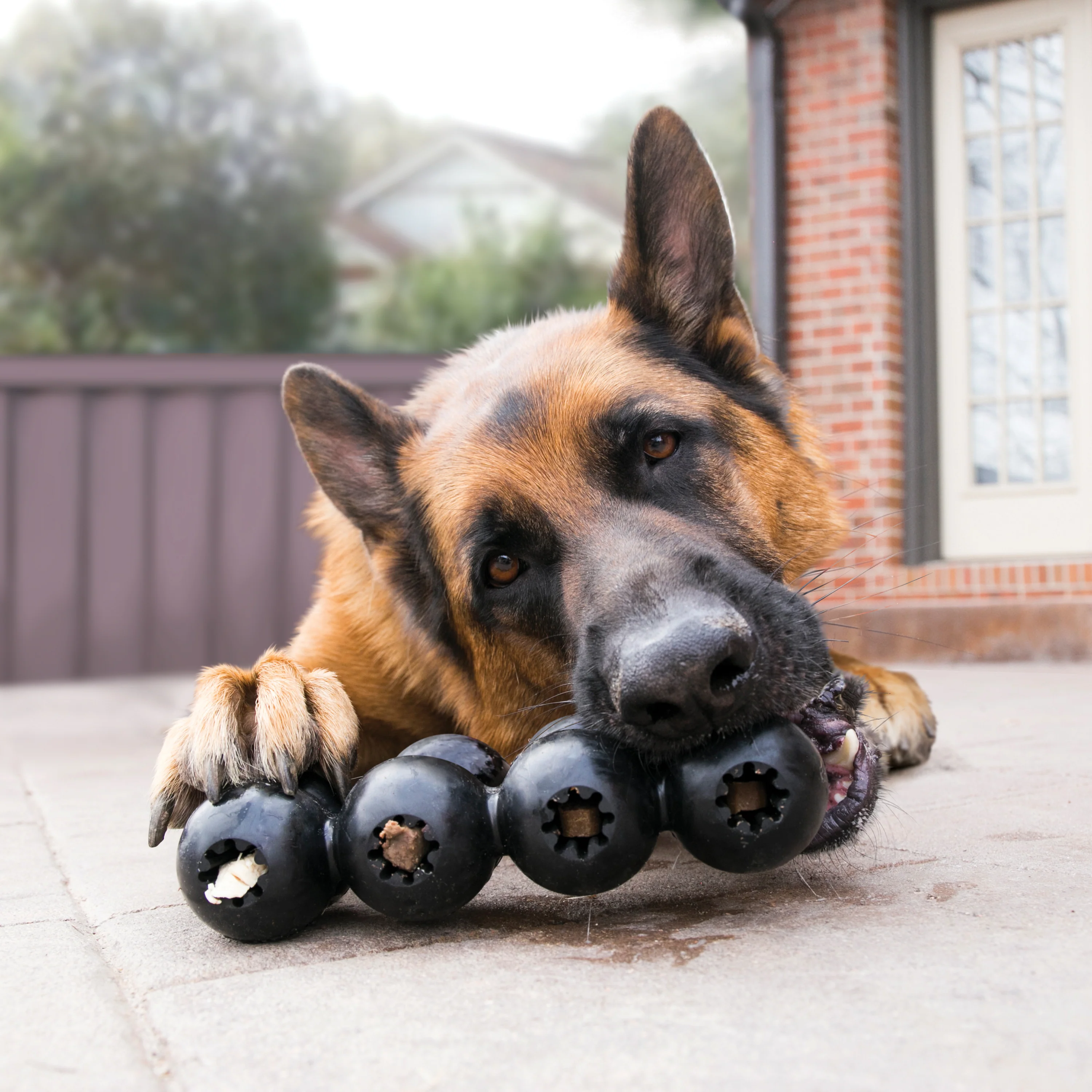KONG Extreme Goodie Ribbon, Large Dog Toy - Image 3
