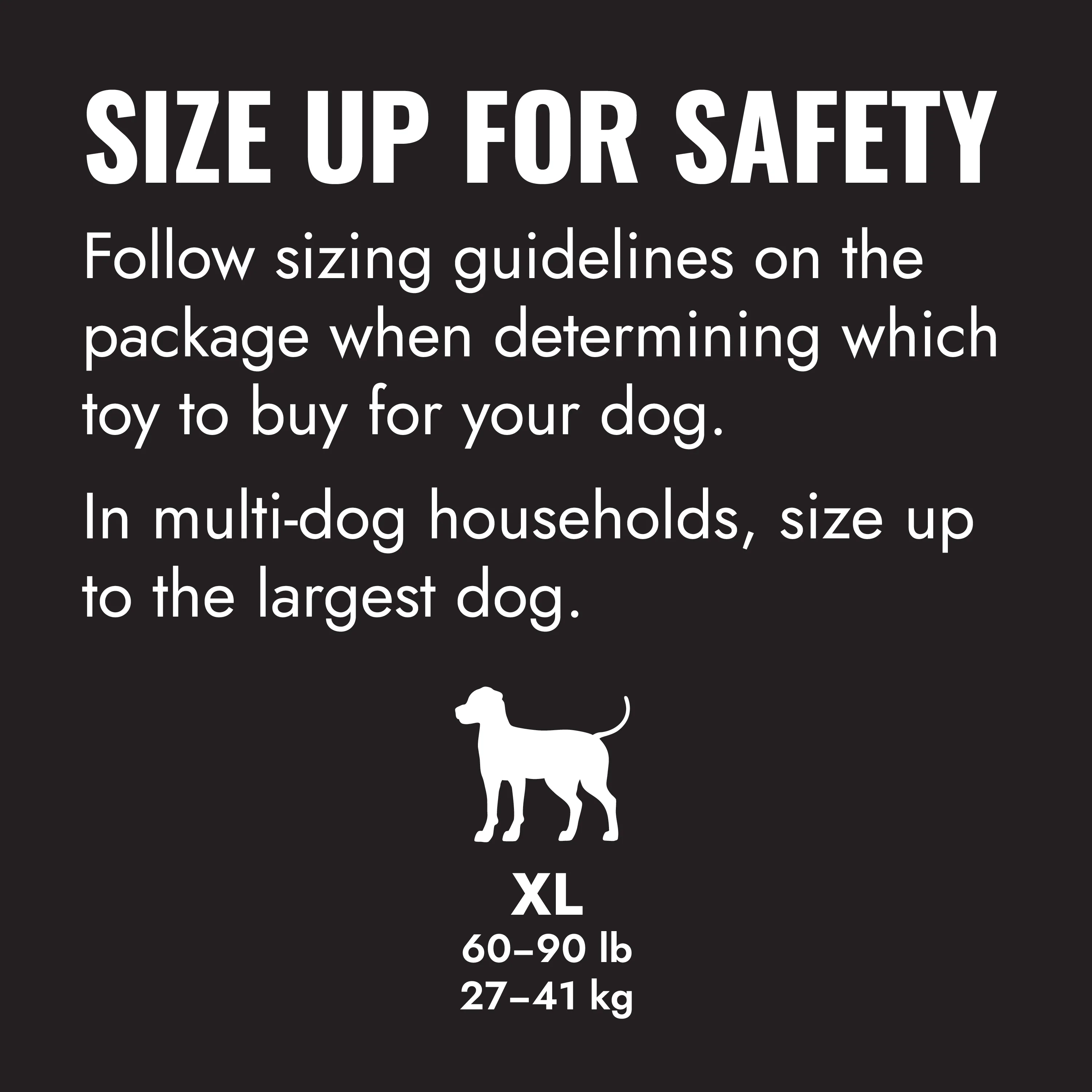 The KONG Ring Dog Toy, Extra Large - Image 2