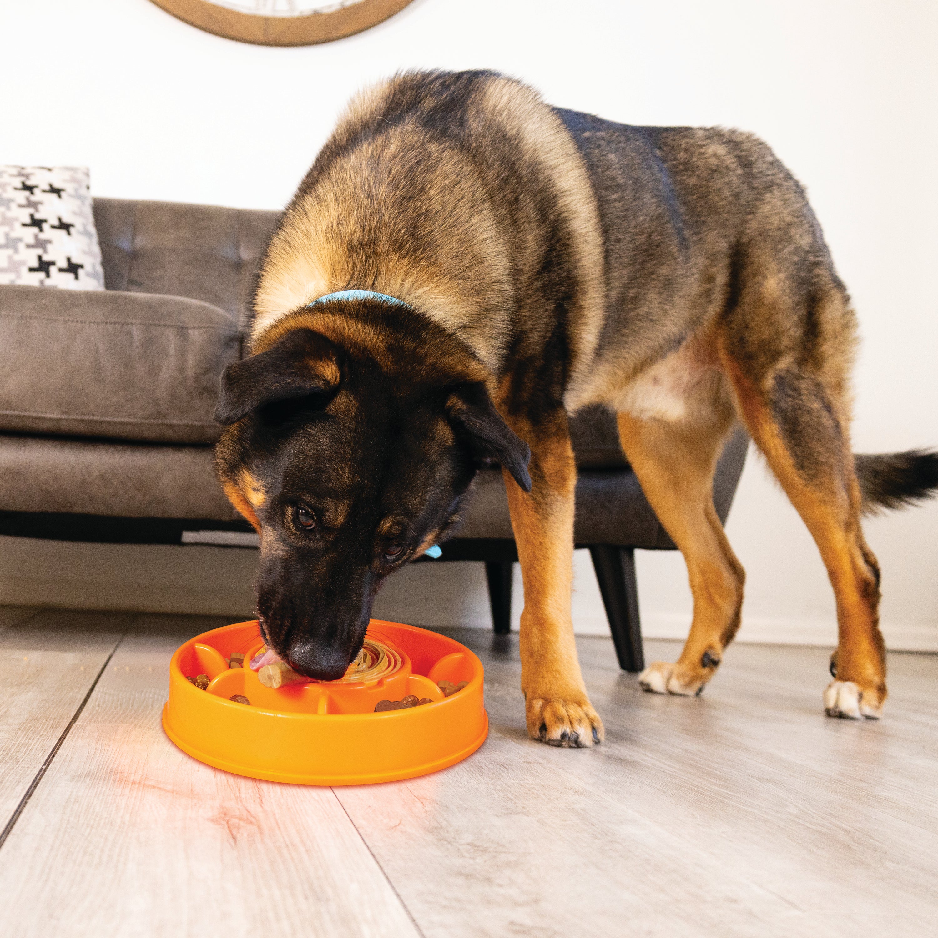 KONG Licks Mealtime Interactive Feeder for Dogs, Large - Image 4