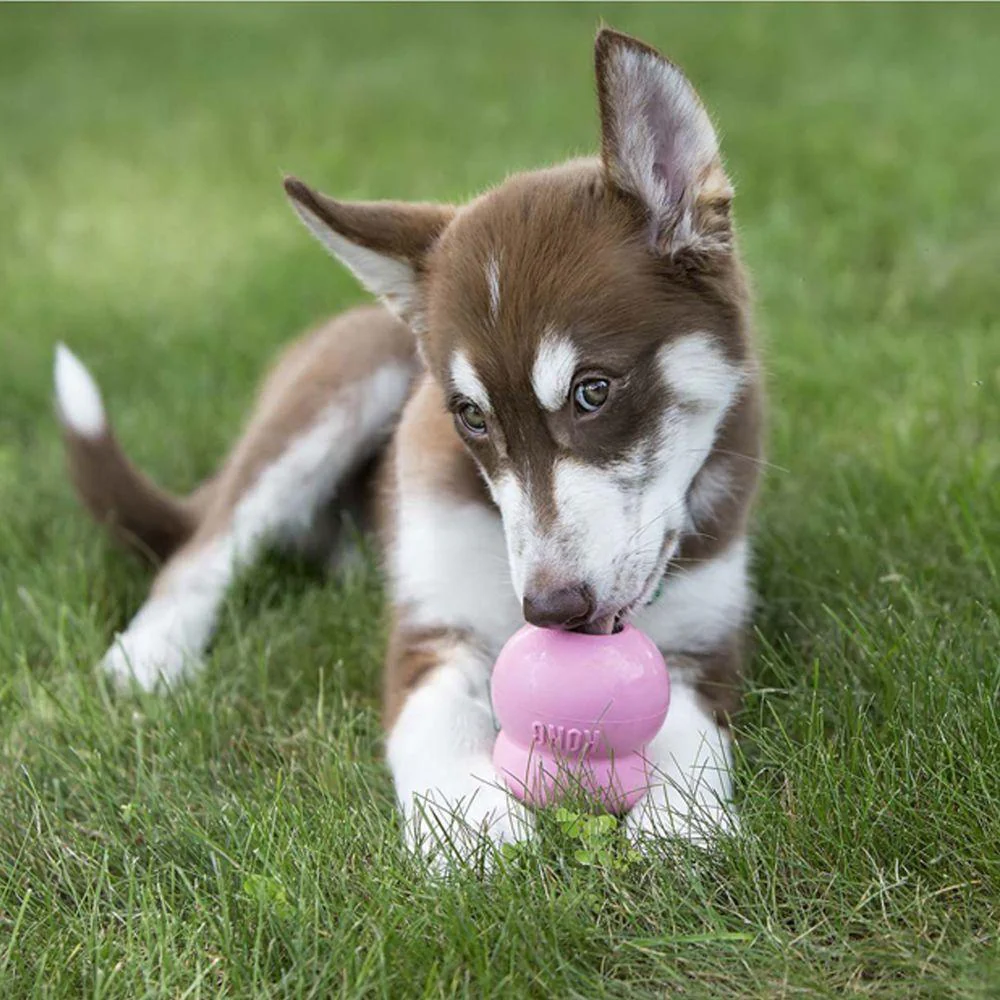 KONG Puppy Easy Treat - Image 3