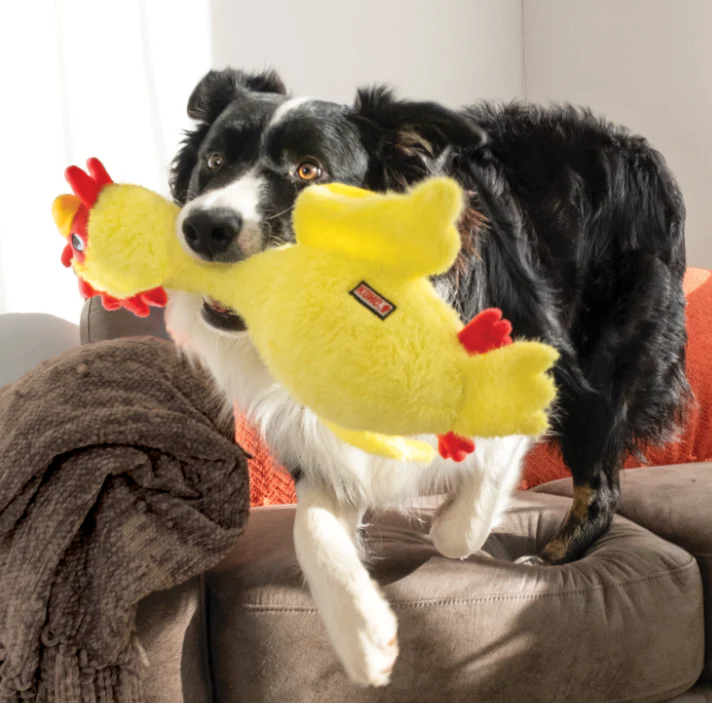 KONG Scruffs Chicken, Medium/Large Dog Toy - Image 3