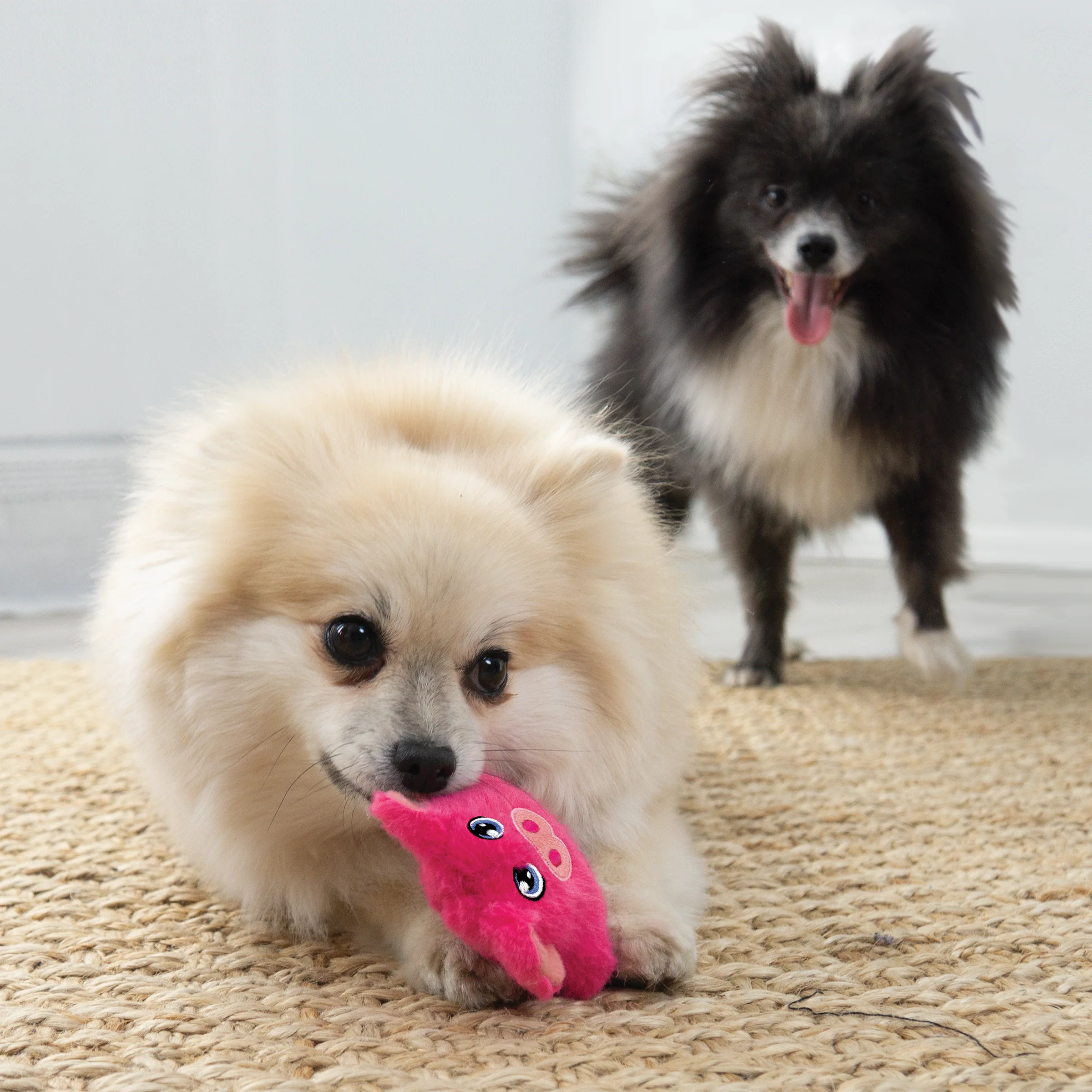 KONG Snuzzles Mini Pig, Extra Small Dog Toy - Image 3