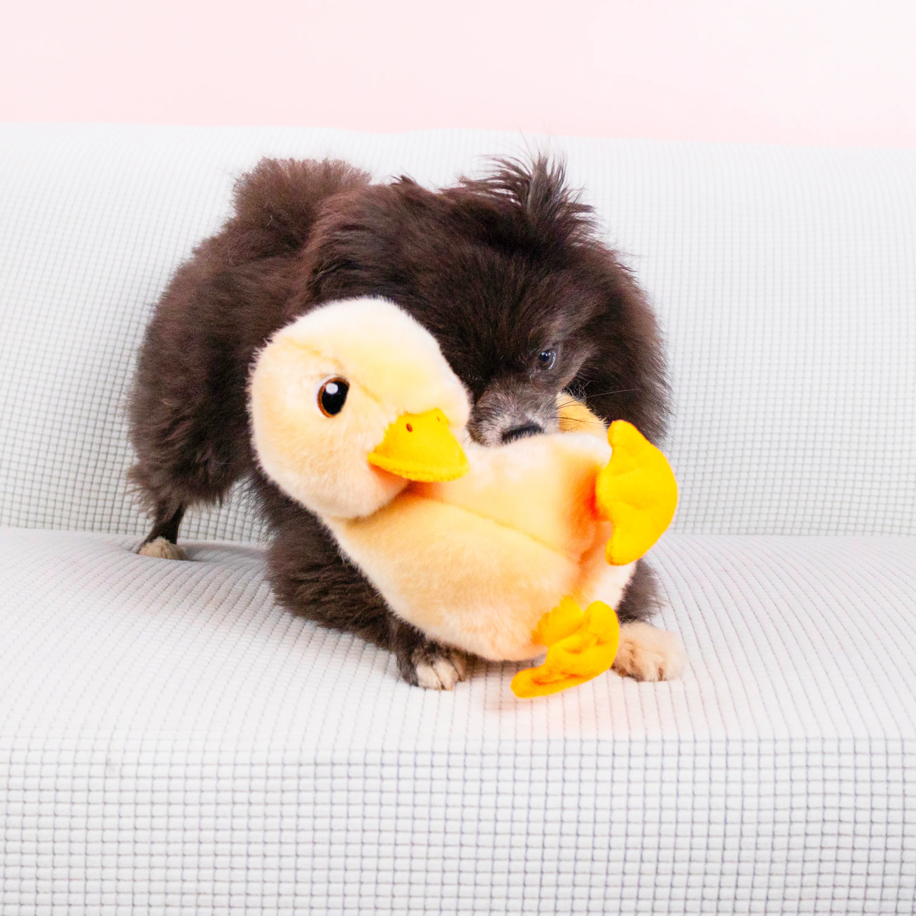 KONG Toughz Duck, Medium Dog Toy - Image 3