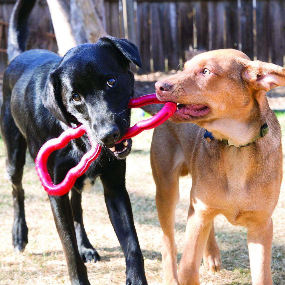 KONG Tug Dog Toy - Image 2