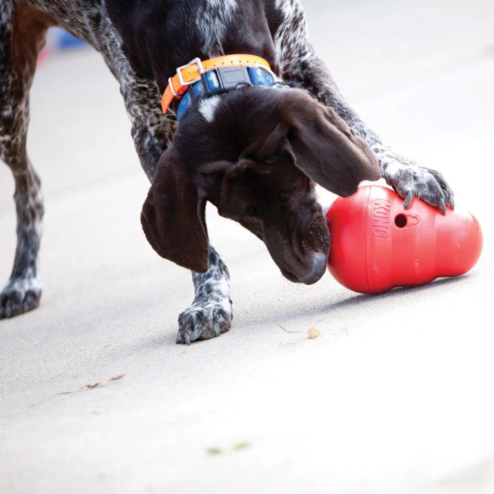 KONG Wobbler Treat Ball Dog Toy - Image 2