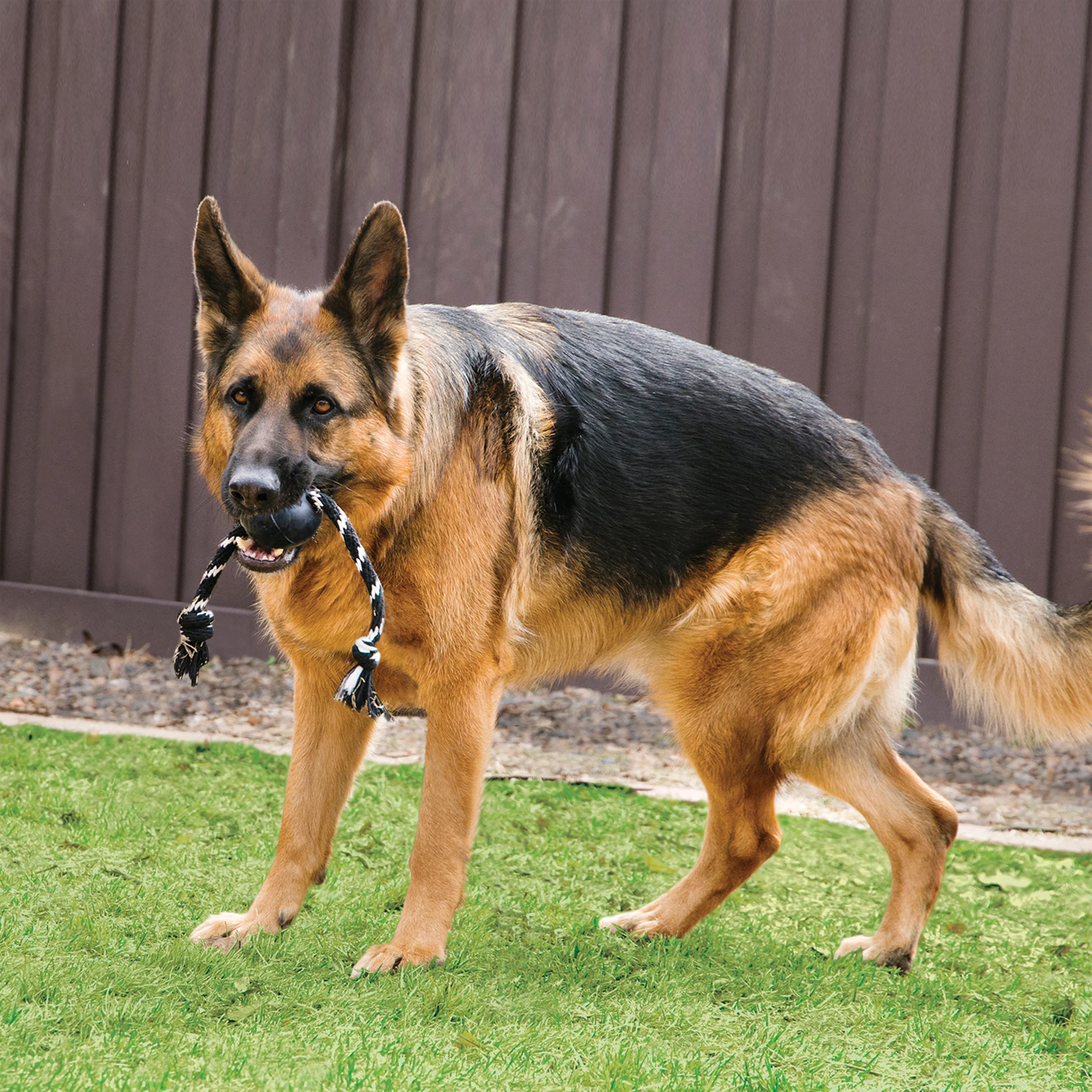 KONG Extreme Ball with Rope, Large Dog Toy - Image 3