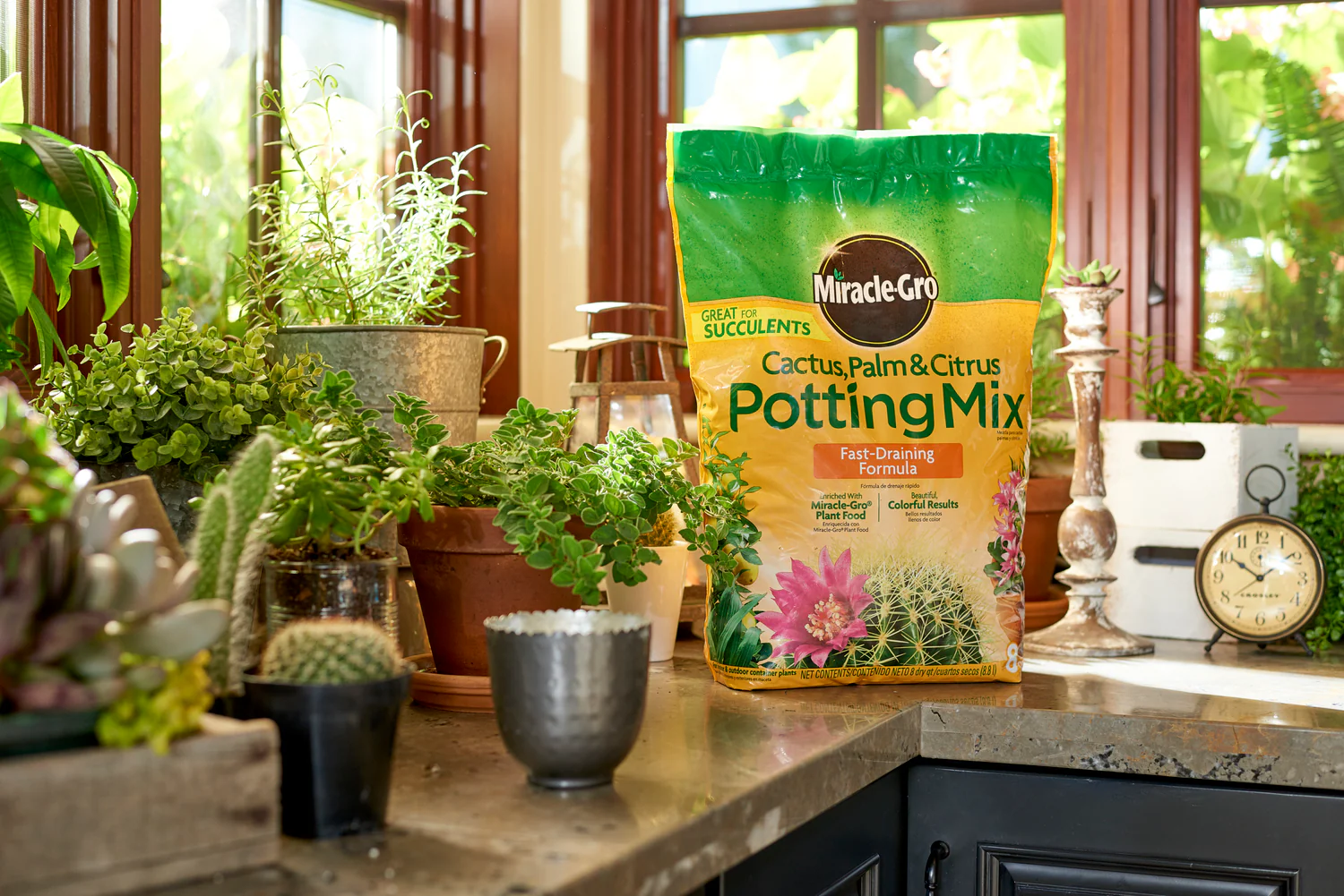 Miracle-Gro Cactus, Palm & Citrus Potting Mix - Image 2