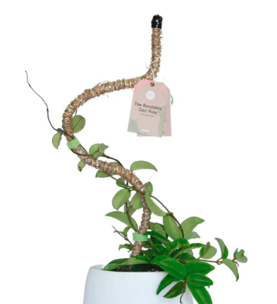 16" Bendable Coir Pole - Image 2