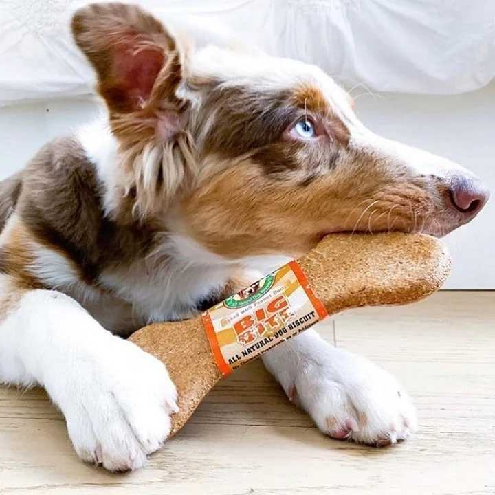 Nature's Animals Big Bite 8" Peanut Butter - Image 4