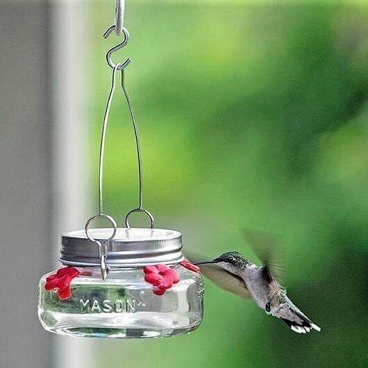 Mason Jar Hummingbird Feeder - Image 2