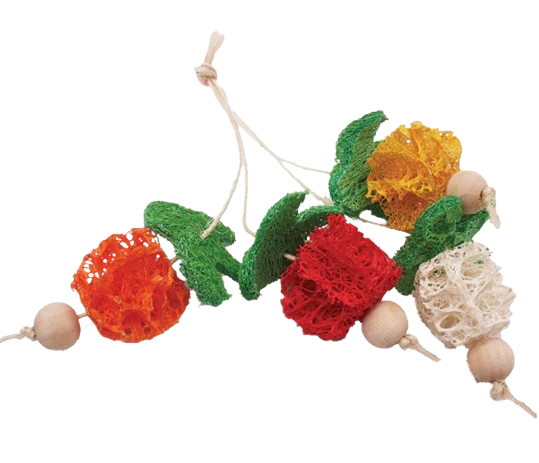 Loofah Bunch of Fruits for Small Animals