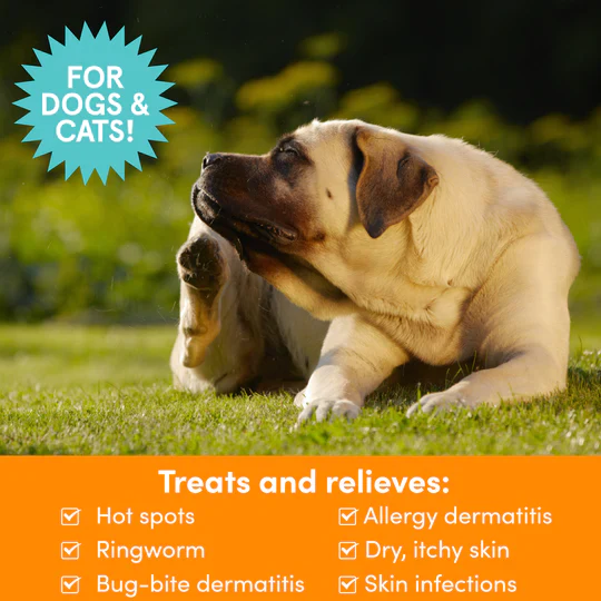 Nootie Medicated Pet Spray, Antifungal & Antibacterial, 8OZ - Image 3