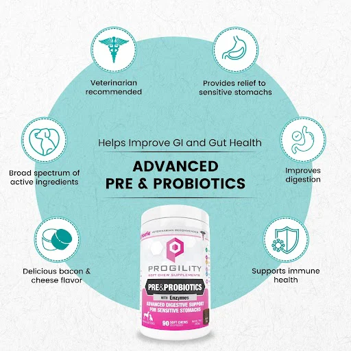 Nootie Progility Pre & Probiotics Soft Chew Supplements for Dogs, 90CT - Image 3