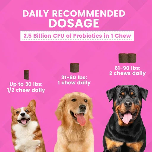 Nootie Progility Pre & Probiotics Soft Chew Supplements for Dogs, 90CT - Image 4