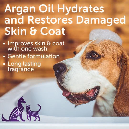 Nootie Restoring Argan Oil Pet Shampoo, Soft Lily Passion, 16oz - Image 3