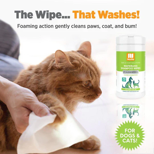 Nootie Waterless Shampoo Wipes with Aloe & Oatmeal, Cucumber Melon70CT - Image 5