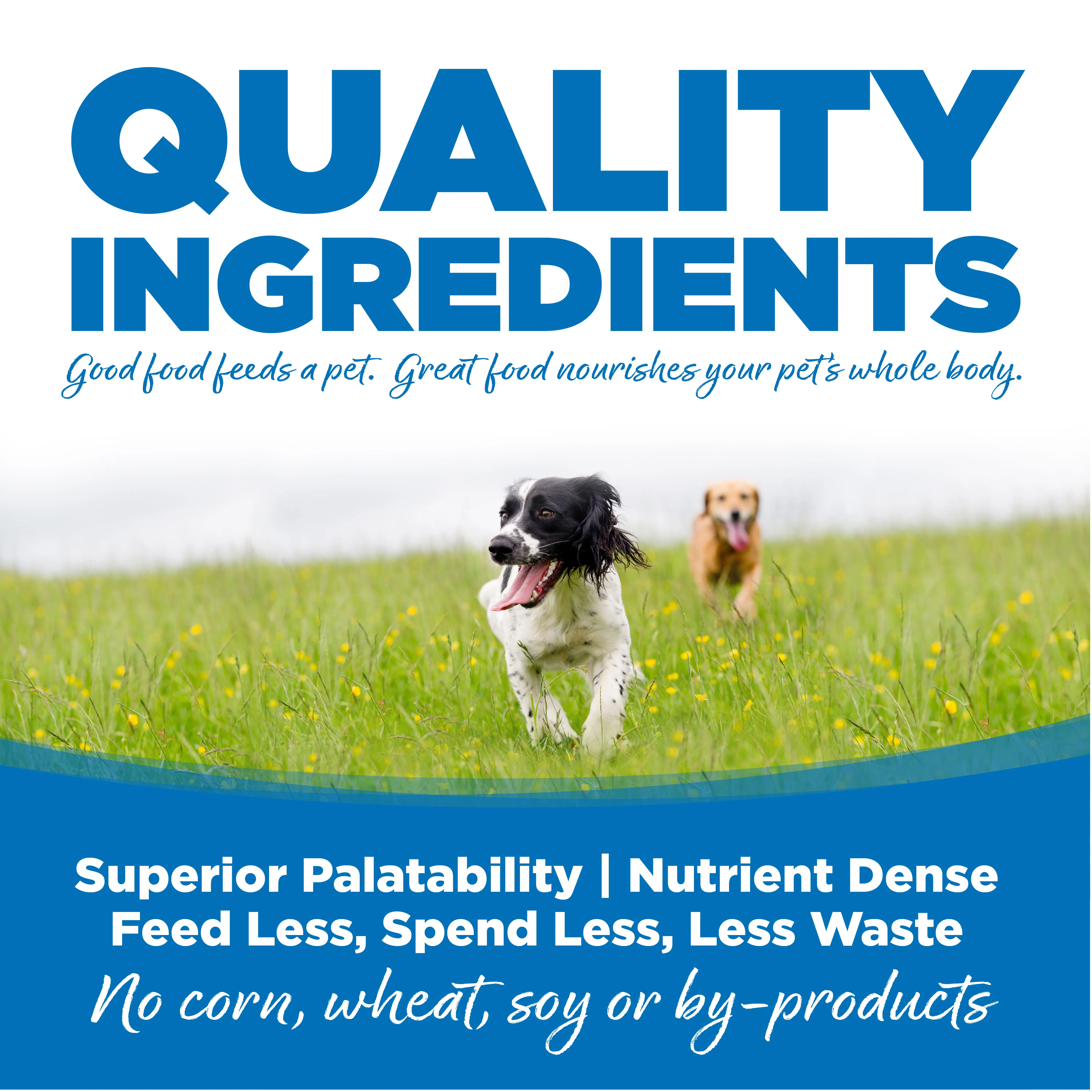 NutriSource Large Breed Adult Chicken and Rice - Image 6