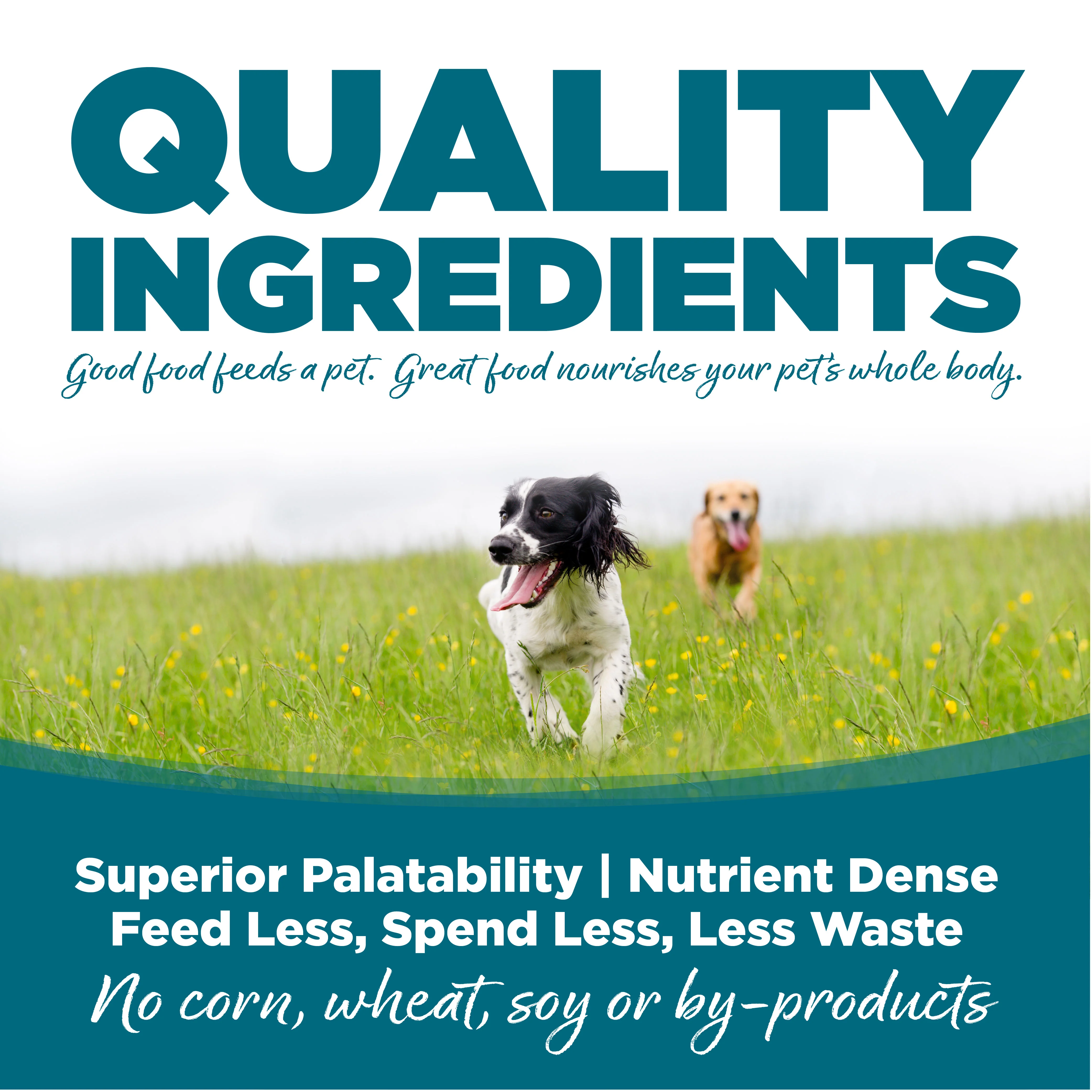 NutriSource Adult Chicken & Rice Formula Healthy Wet Dog Food, 13oz can - Image 5