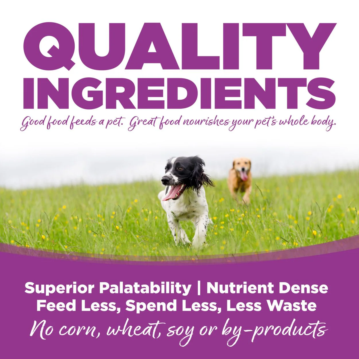 NutriSource Puppy Formula Chicken & Rice Healthy Wet Puppy Food, 13oz can - Image 5