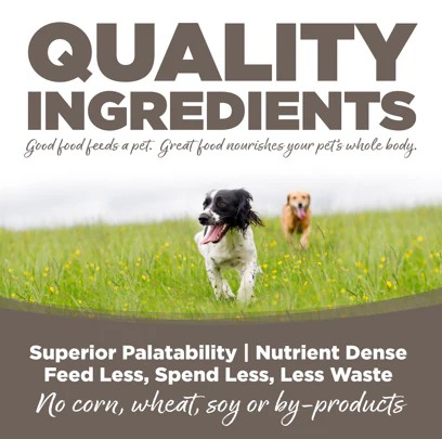 NutriSource Senior Formula Healthy Wet Dog Food for Seniors, 13oz can - Image 3