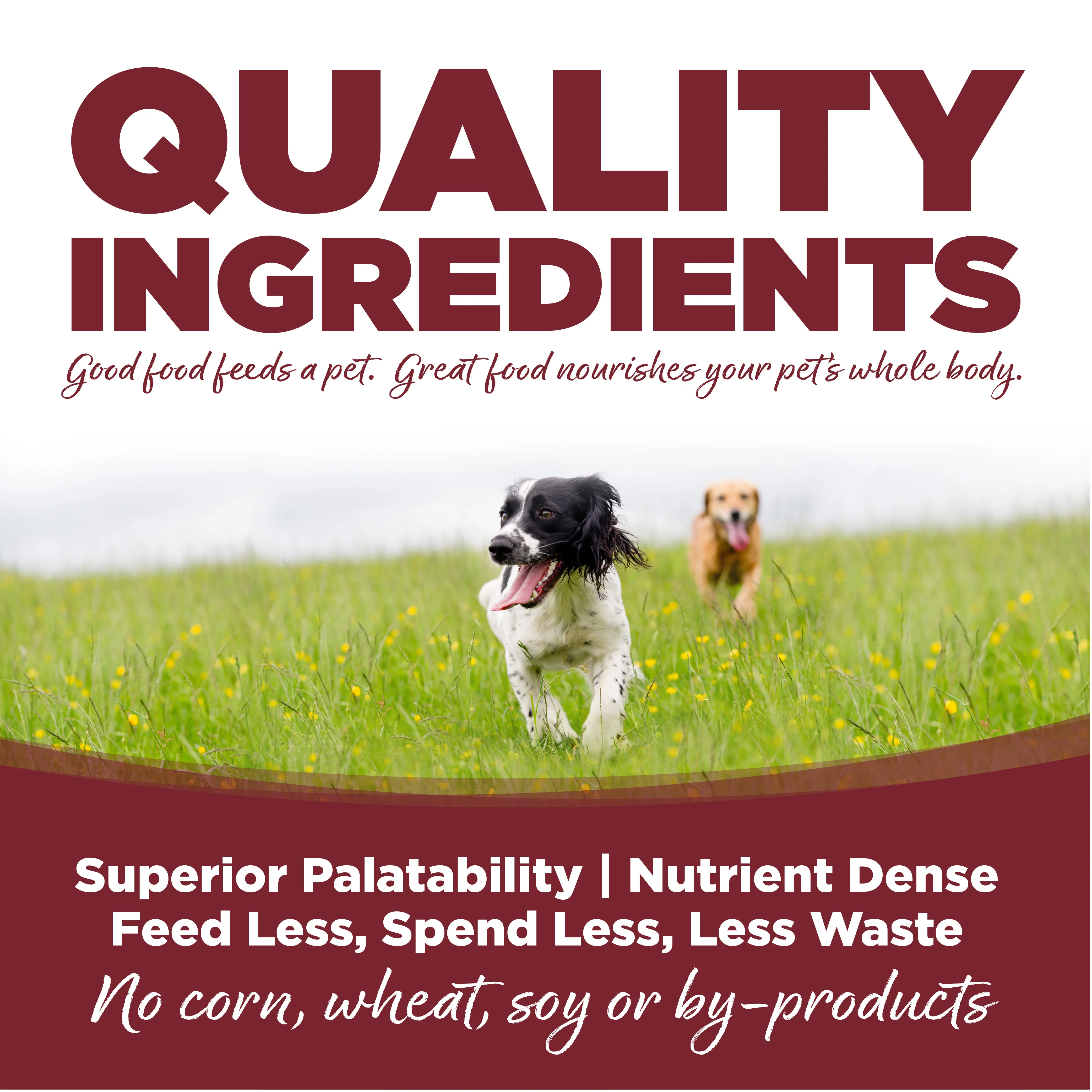 NutriSource Beef & Rice Recipe Healthy Dry Dog Food - Image 5