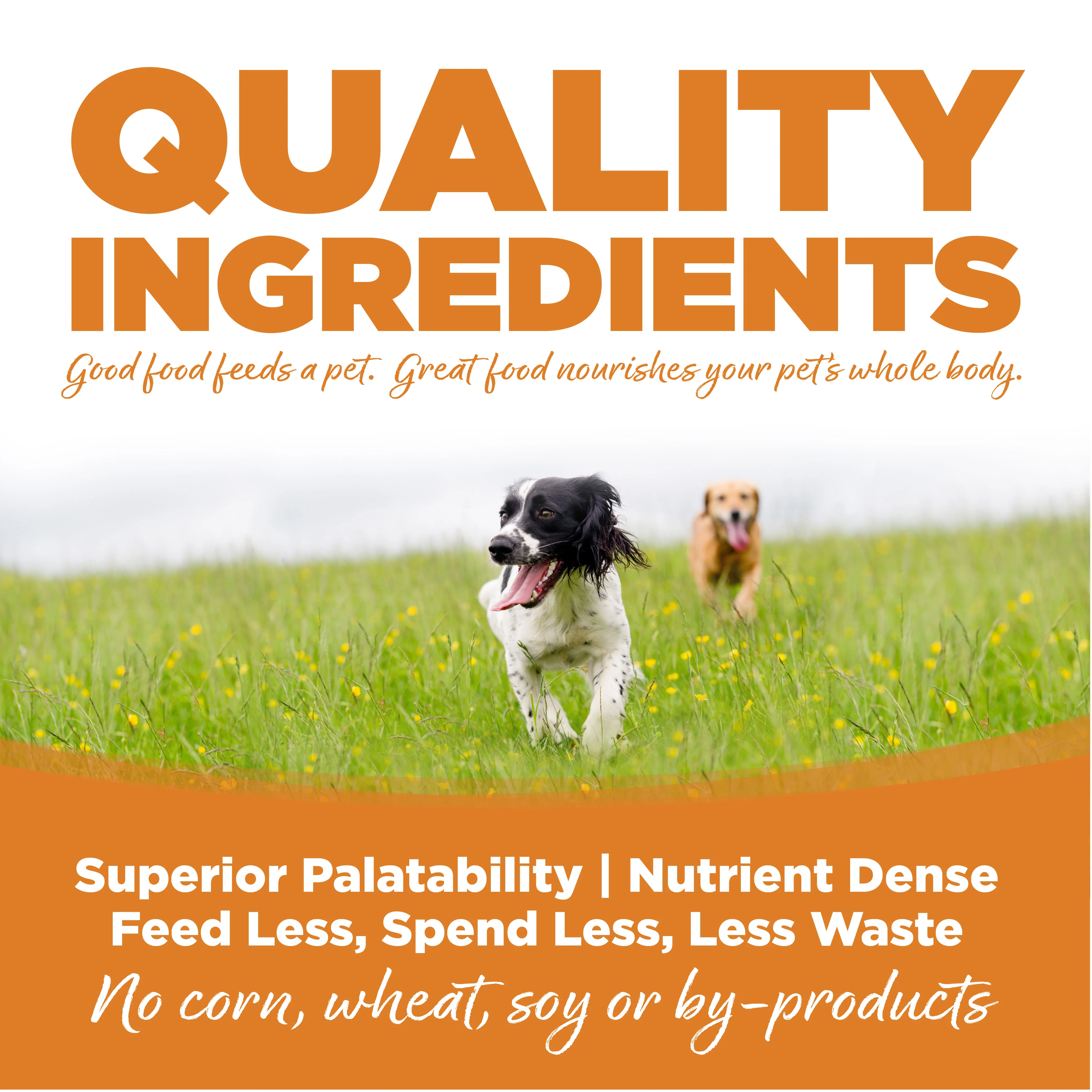 NutriSource Lamb Meal & Rice Recipe Dry Dog Food - Image 5