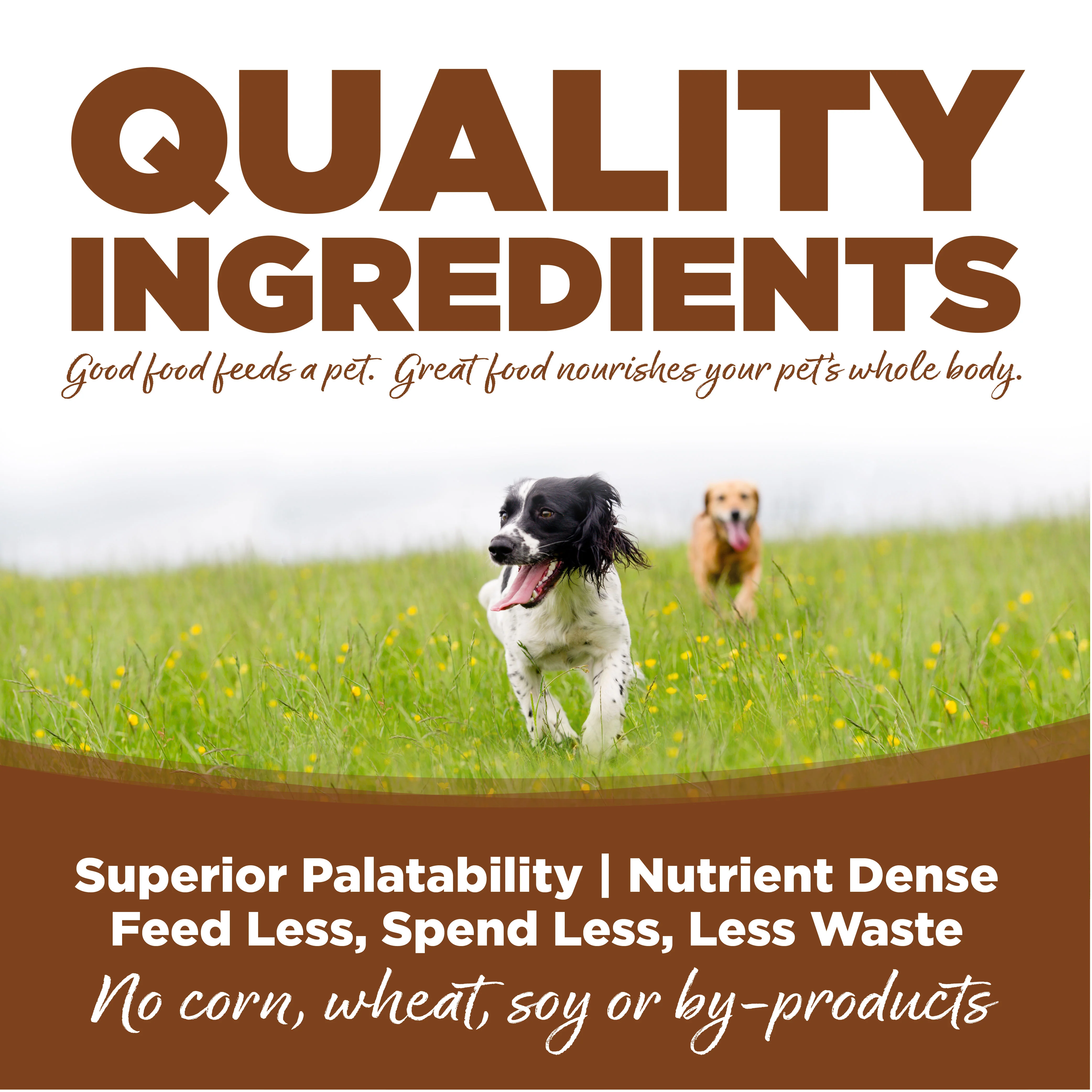 NutriSource Large Breed Adult Lamb and Rice - Image 5