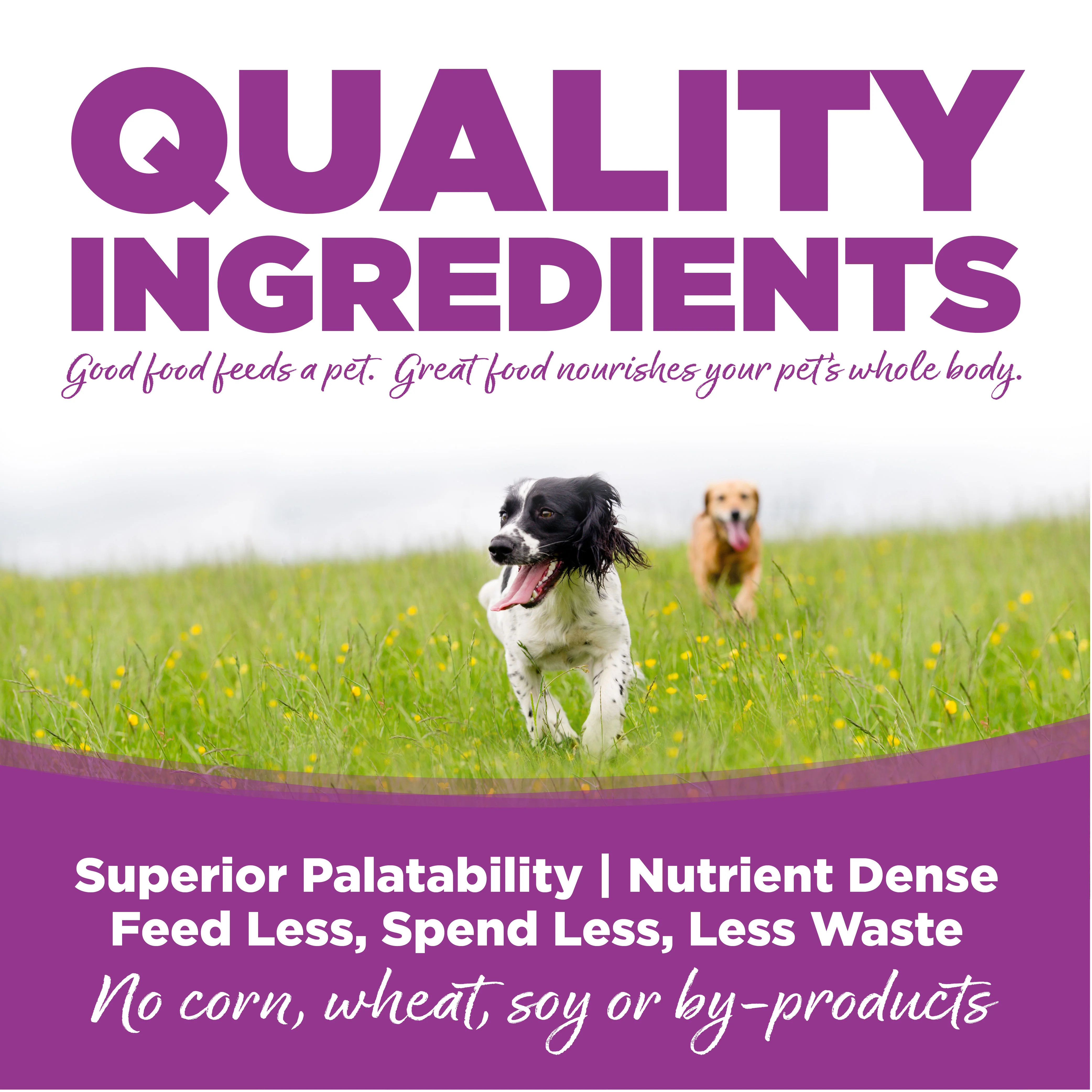 NutriSource Large Breed Puppy Recipe Healthy Puppy Food for Large Breeds Dry Dog Food - Image 5
