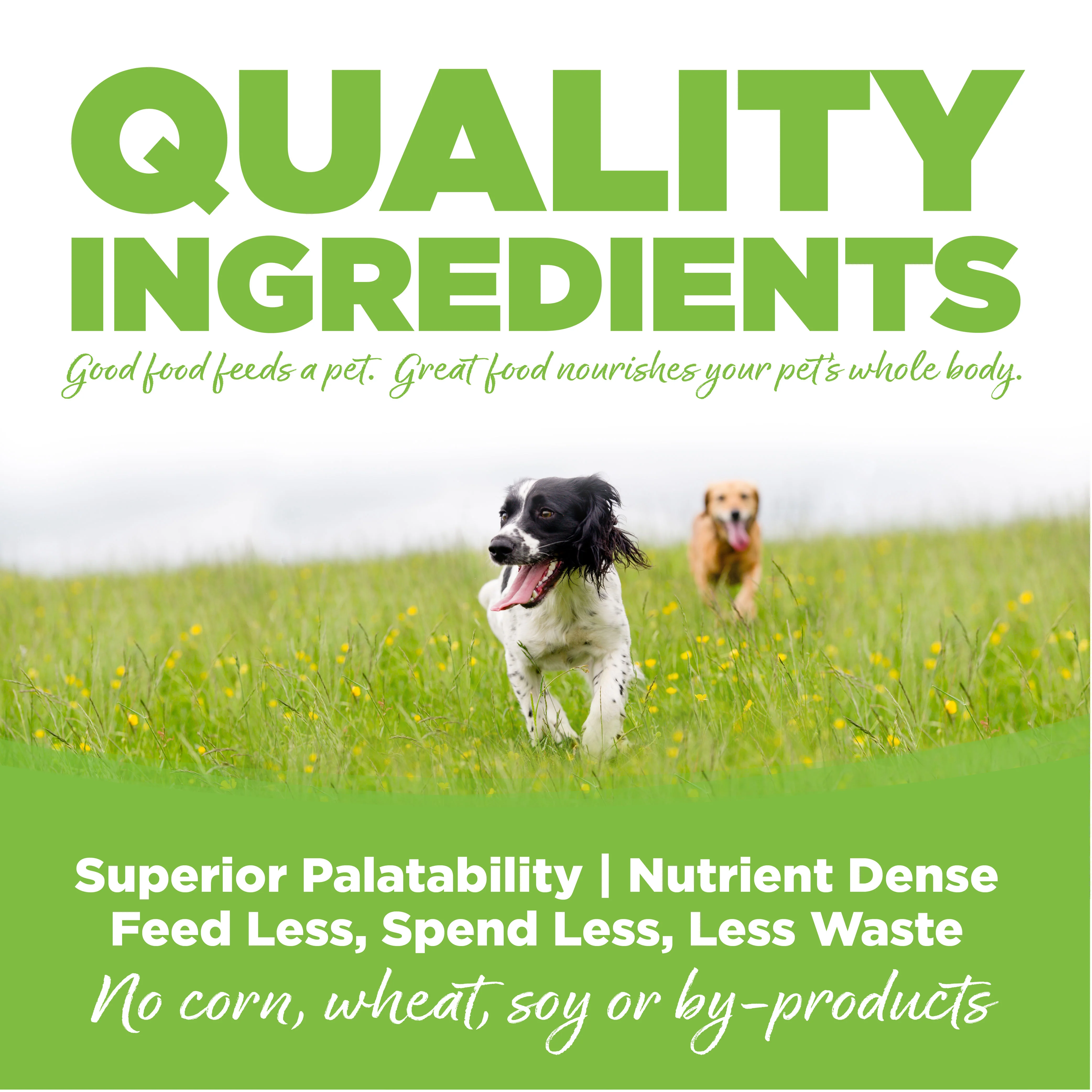 NutriSource Weight Management Recipe Healthy Weight Dry Dog Food - Image 5
