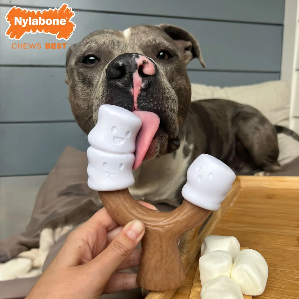 Nylabone Strong Chew Marshmallow Stick Dog Toy, Large/Giant - Image 6