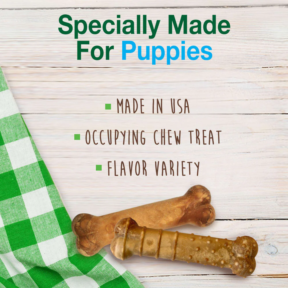 Nylabone Healthy Edibles All-Natural Long Lasting Puppy Chew Dog Treats - Image 3