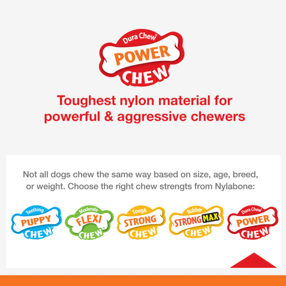 Nylabone Power Chew Original & Textured Bone Chew Dog Toy - Image 3