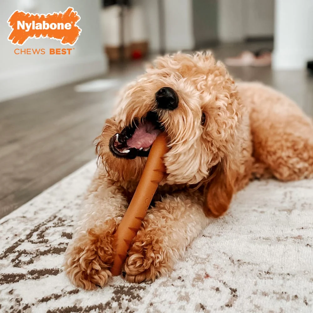 Nylabone Power Chew Baguette Dog Toy, Large/Giant - Image 4