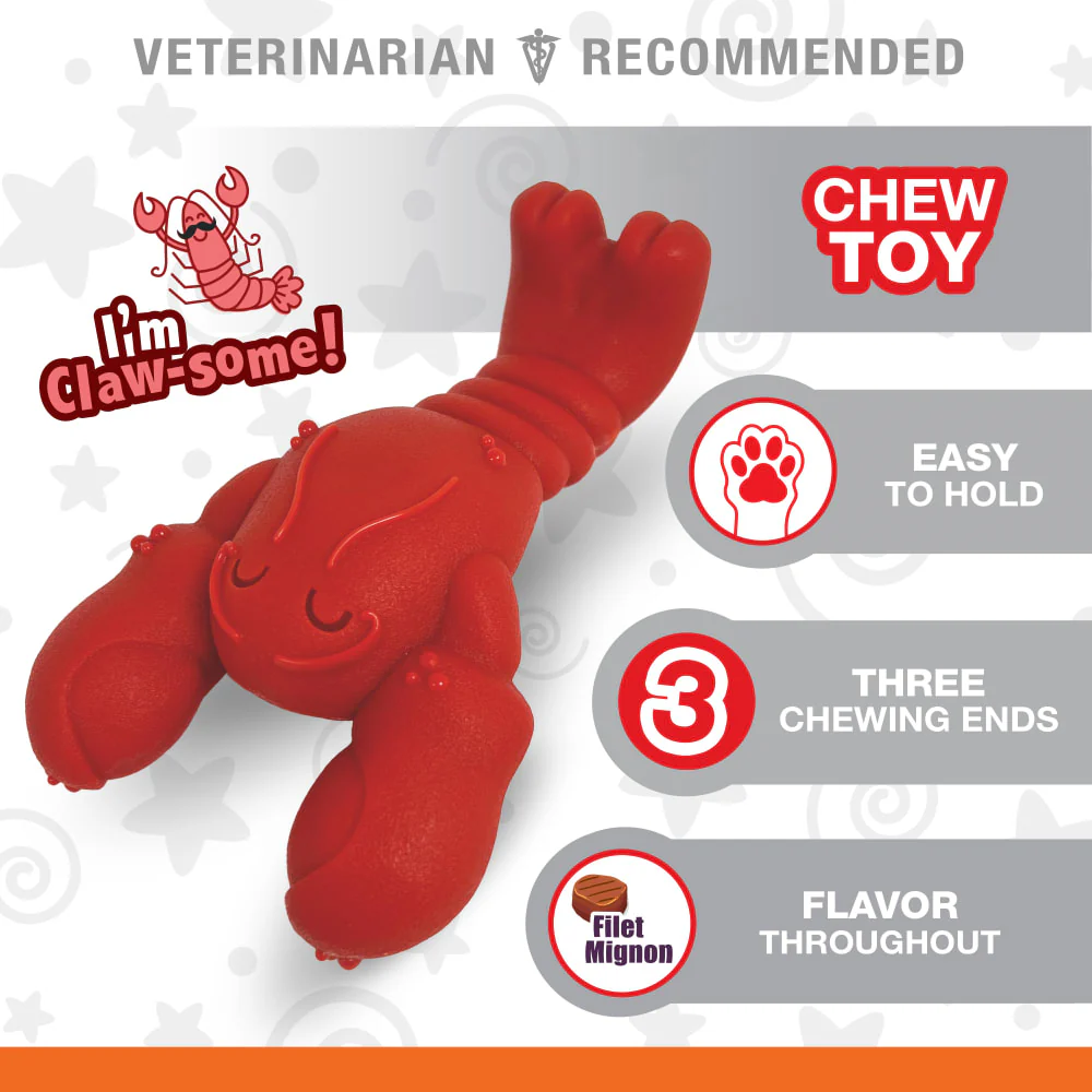 Nylabone Power Chew Lobster Dog Toy, Small - for Dogs up to 25lbs - Image 2